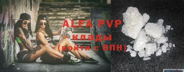 гидра Белокуриха