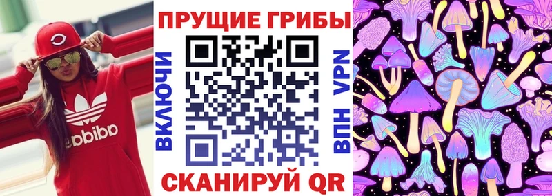это как зайти  Абакан  Галлюциногенные грибы мицелий  даркнет сайт 